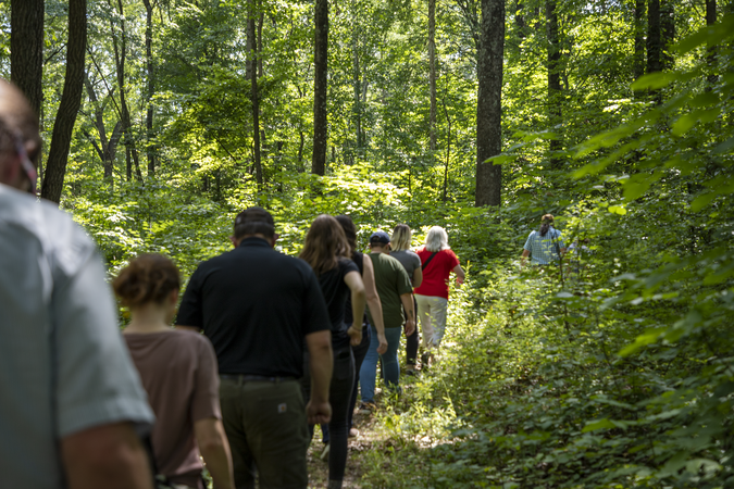 Group of people walking single-file through the woods