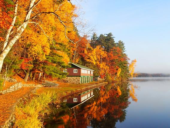 Autumnal trees along a lakeshore
