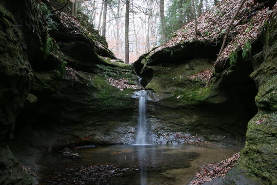 Thin waterfall in a shaded rock formation surrounded by trees. 