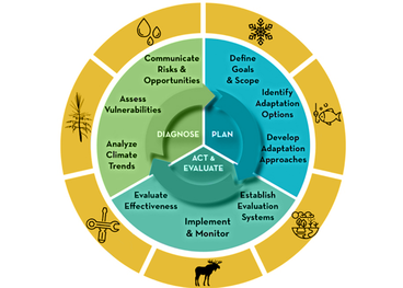 Adaptation wheel: Diagnose, plan, act & evaluate 