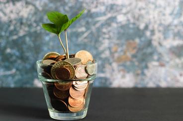 Seedling growing out of a cup full of coins 