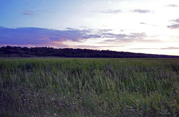Prairie at sunset