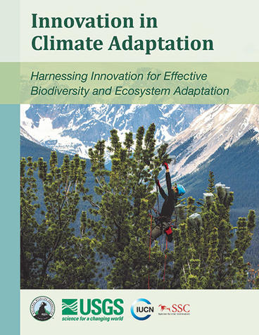 Cover of the Innovation in Adaptation report